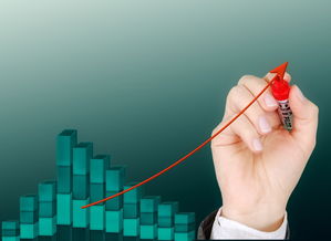 爱游戏体验-体育公益项目影响力持续扩大，体育公益组织